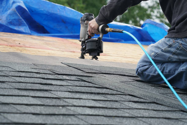 Best Roof Gutter Cleaning  in Wolf Creek, UT